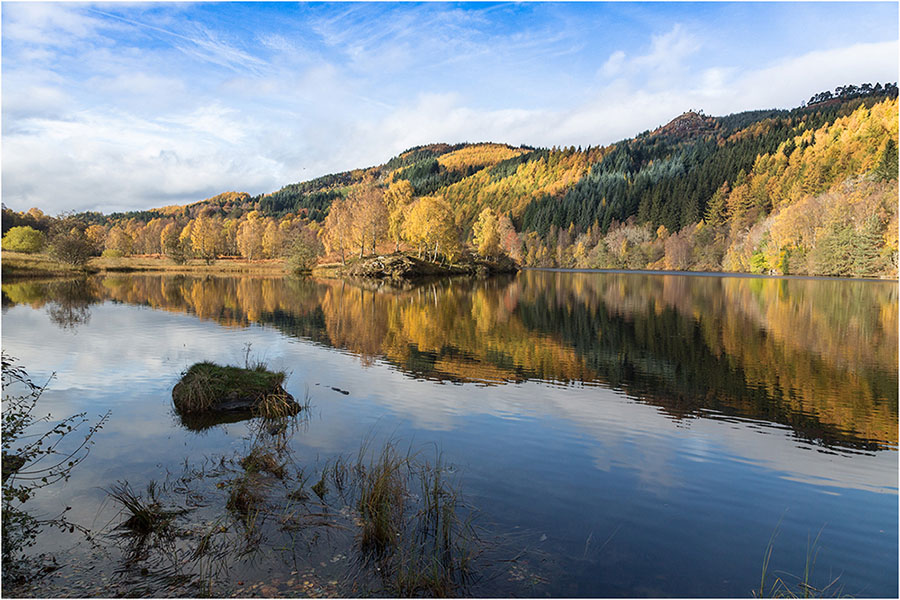 Member's Password Required